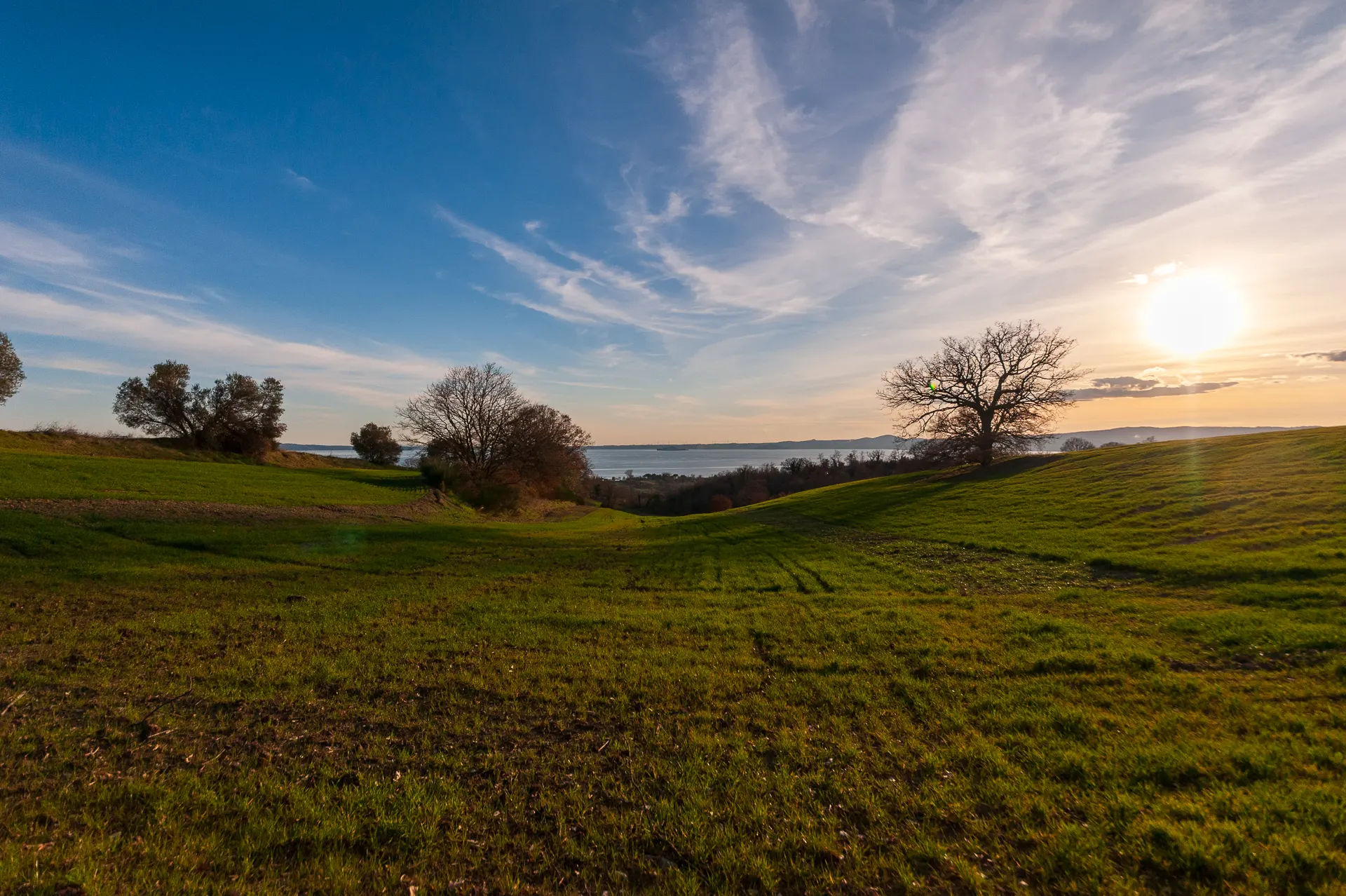 Azienda Agricola Biologica Borgo Podernovo